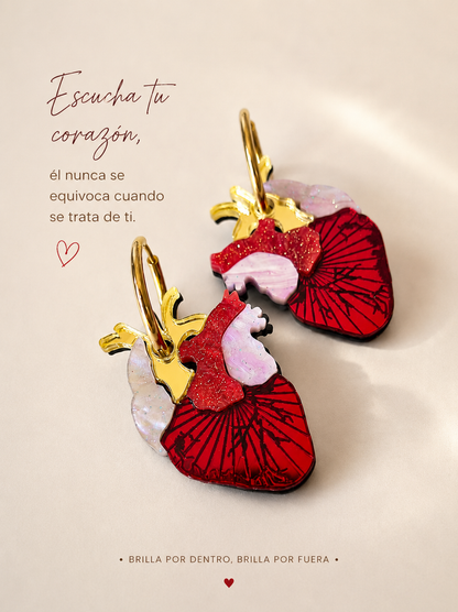 Pendientes Corazón Anatómico